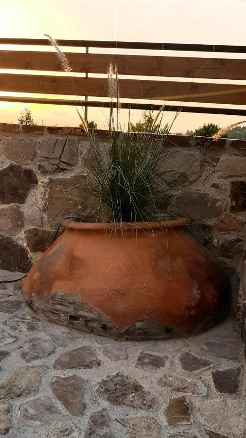 Savvas Brian Mountain House In Paphos Villa Pendalia Exterior photo