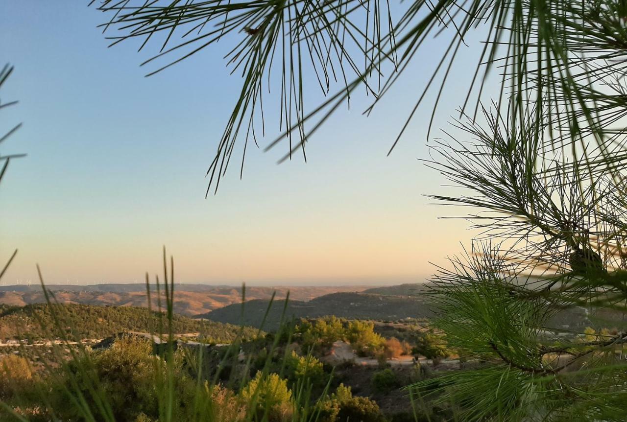 Savvas Brian Mountain House In Paphos Villa Pendalia Exterior photo